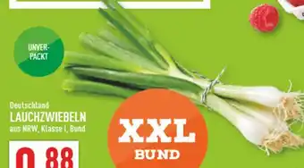 Marktkauf Lauchzwiebeln Angebot
