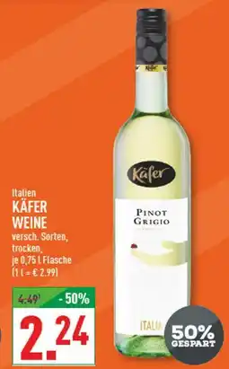 Marktkauf Käfer pinot grigio Angebot