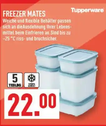 Marktkauf Tupperware freezer mates Angebot