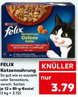 Kaufland FELIX Katzennahrung Angebot