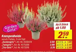 toom Baumarkt Knospenheide Angebot