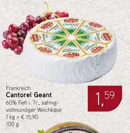 Dornseifer Frankreich Cantorel Geant Angebot