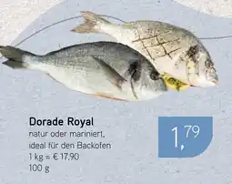 Dornseifer Dorade Royal Angebot
