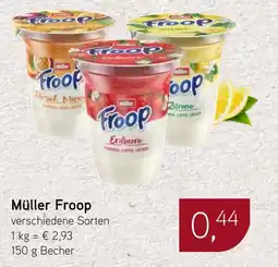 Dornseifer Müller Froop Angebot