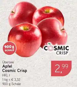 Dornseifer Übersee Apfel Cosmic Crisp Angebot