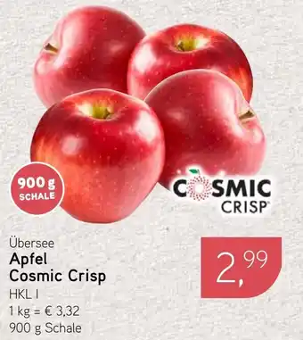 Dornseifer Übersee Apfel Cosmic Crisp Angebot