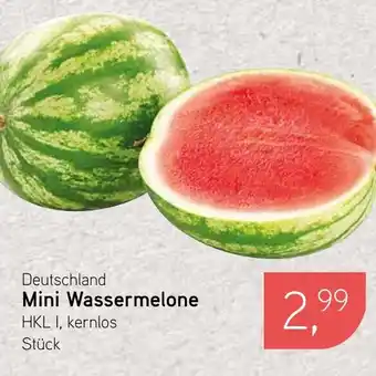 Dornseifer Deutschland Mini Wassermelone Angebot