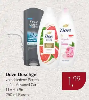 Dornseifer Dove Duschgel Angebot