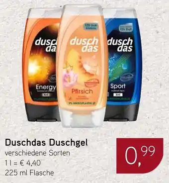 Dornseifer Duschdas Duschgel Angebot