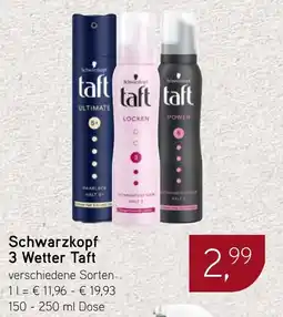 Dornseifer Schwarzkopf 3 Wetter Taft Angebot