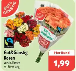 Aktiv Irma GUT& GÜNSTIG Rosen Angebot