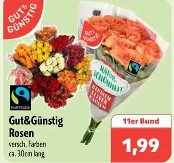 Aktiv Irma GUT& GÜNSTIG Rosen Angebot
