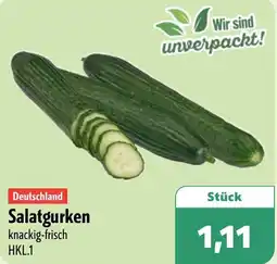 Aktiv Irma Deutschland Salatgurken Angebot