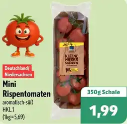 Aktiv Irma Mini Rispentomaten Angebot