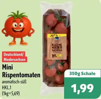 Aktiv Irma Mini Rispentomaten Angebot