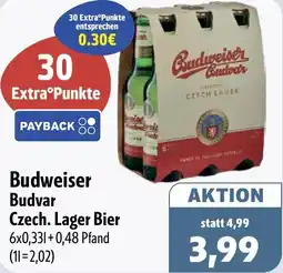 Aktiv Irma Budweiser Budvar Czech. Lager Bier Angebot