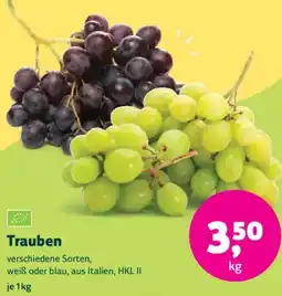 Biomarkt Trauben Angebot
