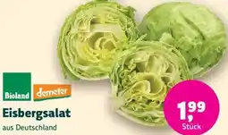 Biomarkt Eisbergsalat Angebot
