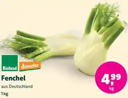 Biomarkt Fenchel Angebot