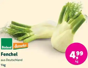 Biomarkt Fenchel Angebot