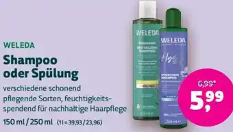 Biomarkt WELEDA Shampoo oder Spülung Angebot