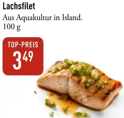 Galeria Markthalle Lachsfilet Angebot