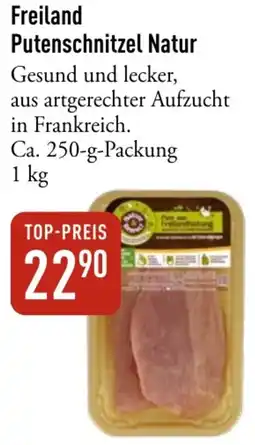Galeria Markthalle Freiland Putenschnitzel Natur Angebot
