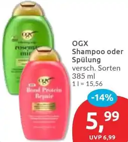 Budni OGX Shampoo oder Spülung Angebot