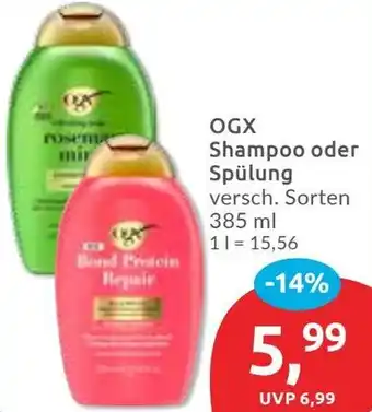 Budni OGX Shampoo oder Spülung Angebot