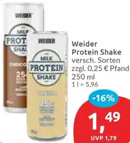 Budni Weider Protein Shake Angebot
