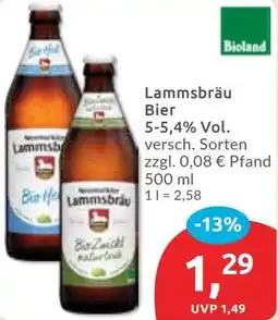 Budni Lammsbräu Bier Angebot