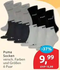 Budni Puma Socken Angebot