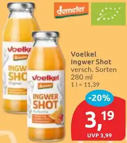 Budni Voelkel Ingwer Shot Angebot