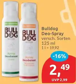 Budni Bulldog Deo-Spray Angebot