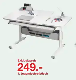 Möbelzentrum Pforzheim Jugendschreibtisch „diego gt“ Angebot