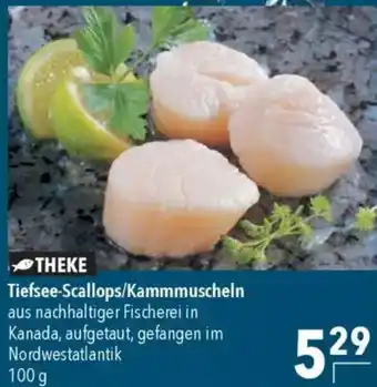 CITTI Markt Tiefsee-Scallops/Kammmuscheln Angebot