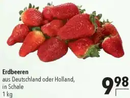 CITTI Markt Erdbeeren Angebot