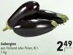 CITTI Markt Aubergine Angebot