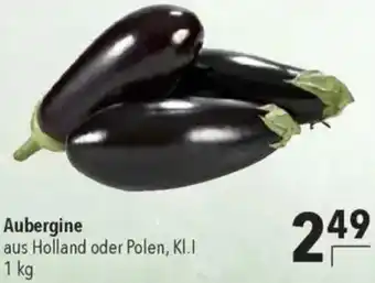 CITTI Markt Aubergine Angebot