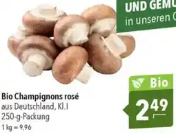 CITTI Markt Bio Champignons rosé Angebot