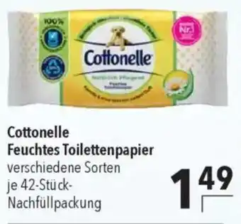 CITTI Markt Cottonelle Feuchtes Toilettenpapier Angebot
