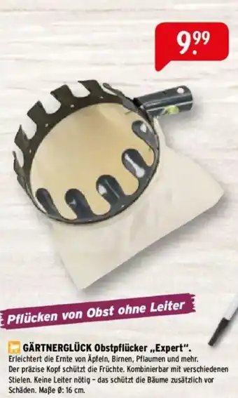 Raiffeisen Markt GÄRTNERGLÜCK Obstpflücker „,Expert" Angebot