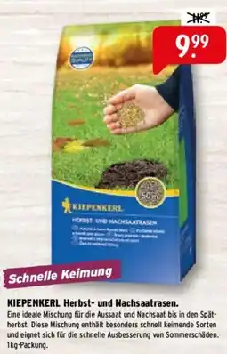 Raiffeisen Markt KIEPENKERL Herbst- und Nachsaatrasen Angebot