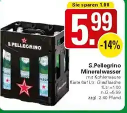 WEZ S.Pellegrino Mineralwasser Angebot