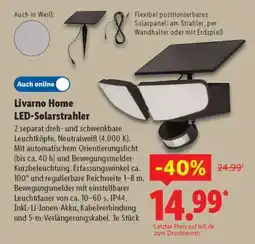Lidl LIVARNO home LED-Solarstrahler Angebot