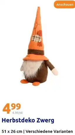 Action Herbstdeko Zwerg Angebot