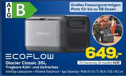 Euronics Ecoflow glacier classic 35l Angebot