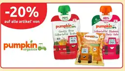Budni Pumpkin organics karotte, birne, süßkartoffel, brokkoli Angebot
