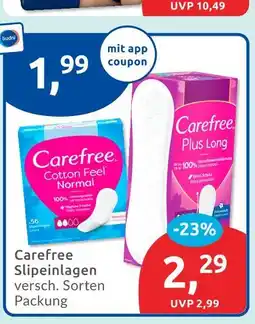 Budni Carefree cotton feel normal Angebot