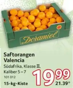 Selgros Saftorangen Valencia Angebot